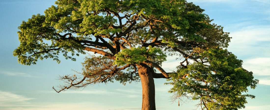 The Importance of Remembering and The Power Of Returning